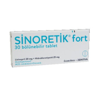 Sinoretik Fort